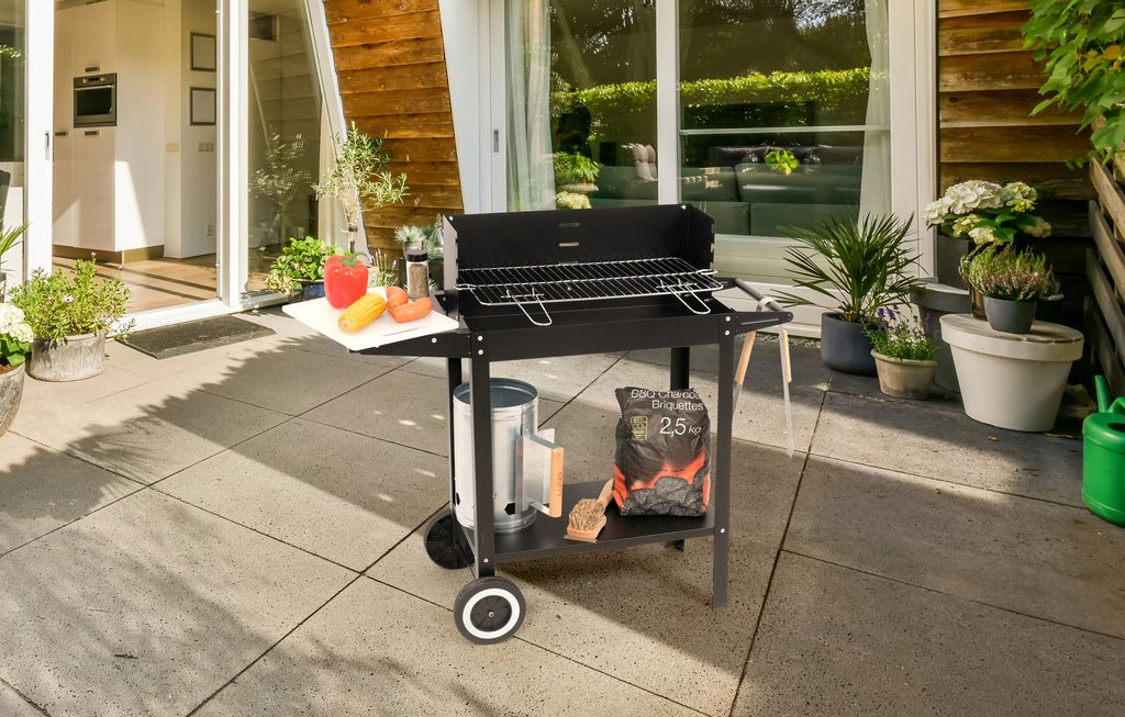 Söegrill riiuli ja restiga 48 x 26,5 cm