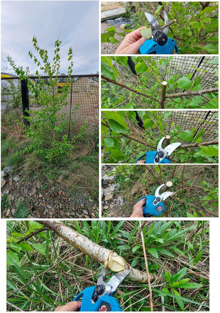 15 cm pjūklo rinkinys + genėjimo žirklės + akumuliatorinė teleskopinė ranka 4 m, 2 akumuliatoriai